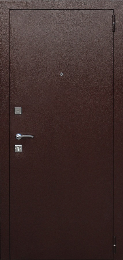 Входная дверь Гарда mini
